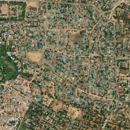 Shinyanga map(satellite map)
