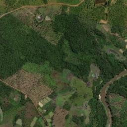Igarapé do Meio map(satellite map)