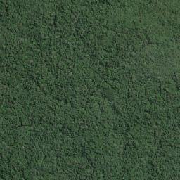 Bom Jardim map(satellite map)