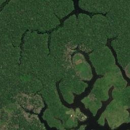 Careiro map(satellite map)