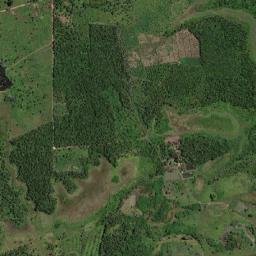 Bela Vista do Maranhão map(satellite map)