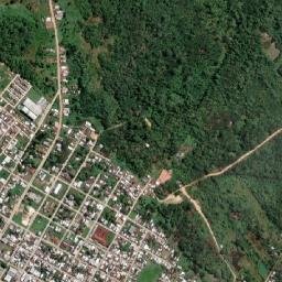 Codajás map(satellite map)