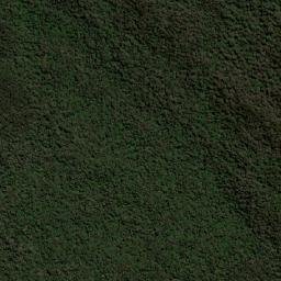 Kabupaten Paniai map(satellite map)