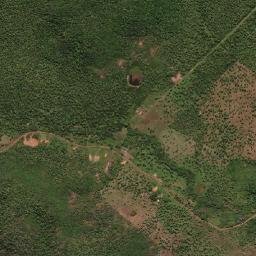 Buriti map(satellite map)