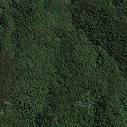 Kabupaten Dogiyai map(satellite map)