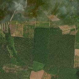 Kabupaten Mesuji map(satellite map)