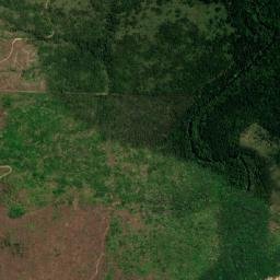 Dom Eliseu map(satellite map)