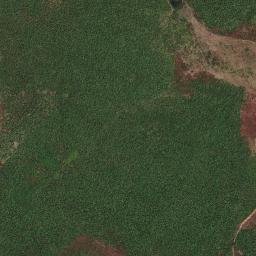 Duque Bacelar map(satellite map)