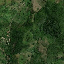 Palmácia map(satellite map)