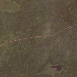 Caridade map(satellite map)