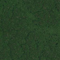 Beruri map(satellite map)