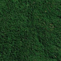 Borja map(satellite map)