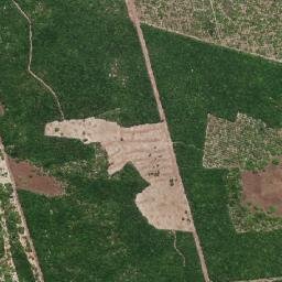 Fortim map(satellite map)