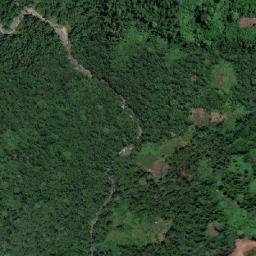 Gazelle map(satellite map)