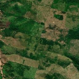 Bom Jesus das Selvas map(satellite map)