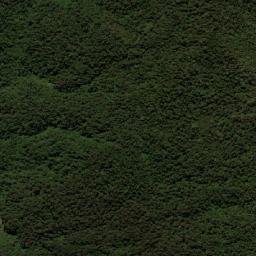 Kabupaten Pegunungan Bintang map(satellite map)