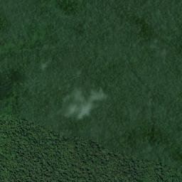 Kabupaten Mimika map(satellite map)