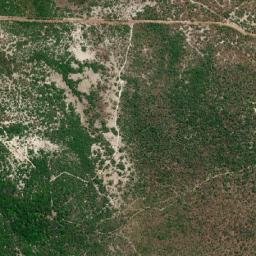 Cocal de Telha map(satellite map)