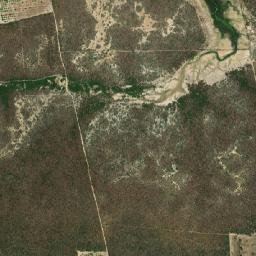 Palhano map(satellite map)
