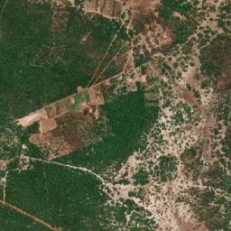 José de Freitas map(satellite map)