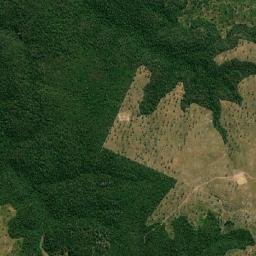 Capinzal do Norte map(satellite map)