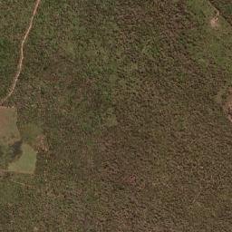 Sigefredo Pacheco map(satellite map)