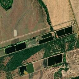 Jaguaruana map(satellite map)