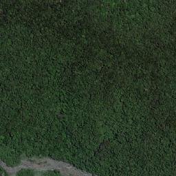 Telefomin map(satellite map)