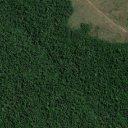 Bom Jesus do Tocantins map(satellite map)