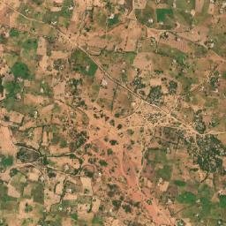 Puma map(satellite map)