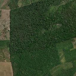 Esperantina map(satellite map)