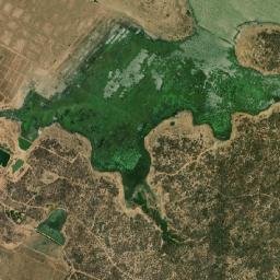 São João do Jaguaribe map(satellite map)