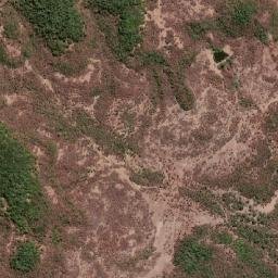 Novo Santo Antônio map(satellite map)
