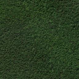 Kabupaten Asmat map(satellite map)