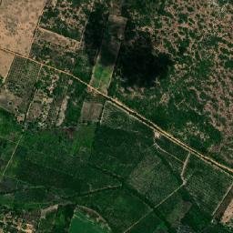 Maxaranguape map(satellite map)