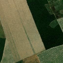 Governador Luiz Rocha map(satellite map)