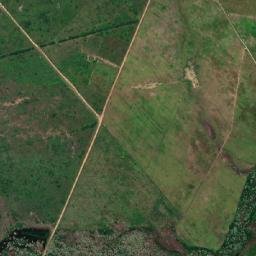 Taipu map(satellite map)