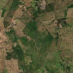 Davinópolis map(satellite map)