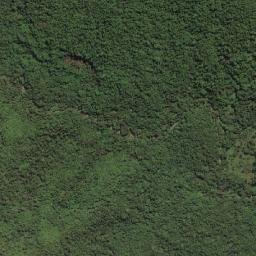 Kabupaten Buton Selatan map(satellite map)