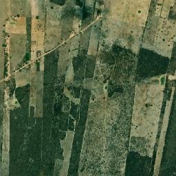 Bento Fernandes map(satellite map)