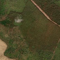 Miguel Leão map(satellite map)