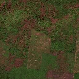 Agricolândia map(satellite map)