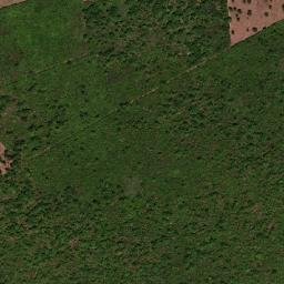 Olho d'Água do Piauí map(satellite map)