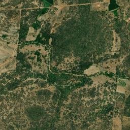 Rodolfo Fernandes map(satellite map)