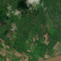 Yurimaguas map(satellite map)