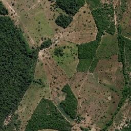 Ribamar Fiquene map(satellite map)