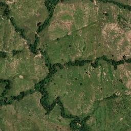 Palestina do Pará map(satellite map)