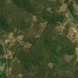 Pereiro map(satellite map)
