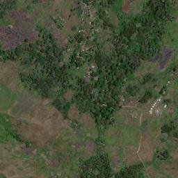 Unggai Bena map(satellite map)