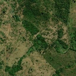Curionópolis map(satellite map)